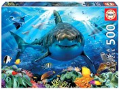 Zobacz : Puzzle 500...