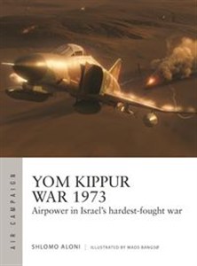 Obrazek Air Campaign 43 Yom Kippur War 1973 Airpower in Israel's hardest-fought war