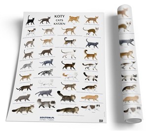 Obrazek Plansza edukacyjna - Koty SOLITON