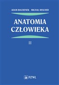 Anatomia c... - Adam Bochenek, Michał Reicher - Ksiegarnia w UK