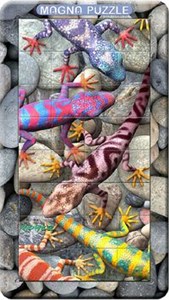 Picture of Puzzle 3D Piatnik Gecko 32