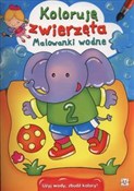 Książka : Koloruję z...