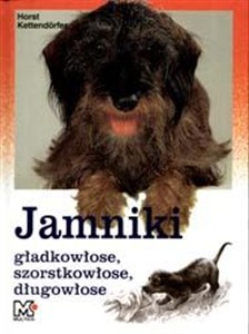 Picture of JAMNIKI GŁADKOWŁOSE SZORSTKOWŁOSE DŁUGOWŁOSE