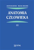 Anatomia c... - Adam Bochenek, Michał Reicher -  Polish Bookstore 