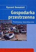 Gospodarka... - Ryszard Domański -  Polish Bookstore 