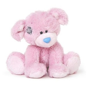 Picture of SZCZENIAK TATTY NIEBIESKI NOSEK