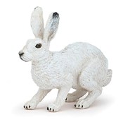 Polska książka : Zając arkt...