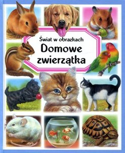 Picture of Domowe zwierzątka Świat w obrazkach
