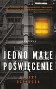 Książka : Jedno małe... - Hilary Davidson