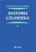 Anatomia c... - Adam Bochenek, Michał Reicher -  Książka z wysyłką do UK