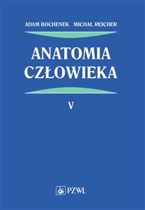 Obrazek Anatomia człowieka Tom 5