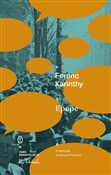 Epepe - Ferenc Karinthy -  books in polish 