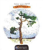 Polska książka : Pasterz - Anna Sailamaa