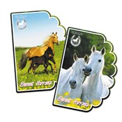 Polska książka : NOTES KSZT...