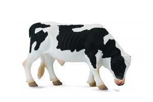 Obrazek Byk Friesian