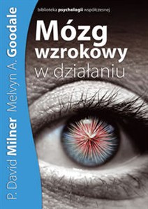 Obrazek Mózg wzrokowy w działaniu