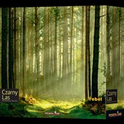 Gra Czarny... -  books in polish 