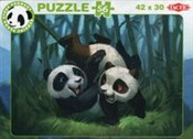 Panda Star... -  Polish Bookstore 