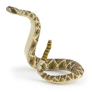 Picture of Grzechotnik