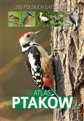 Książka : Atlas ptak... - Dominik Marchowski