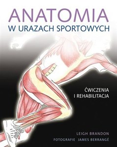 Picture of Anatomia w urazach sportowych