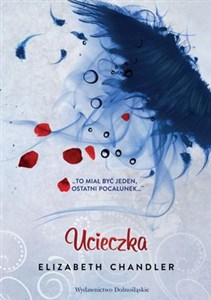 Obrazek Ucieczka