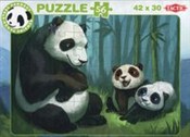 polish book : Panda Star...