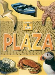 Picture of Plaża Zobacz sam