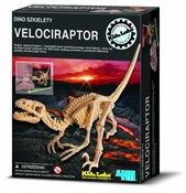 Zobacz : Dino szkie...