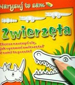 Polska książka : Narysuj to...