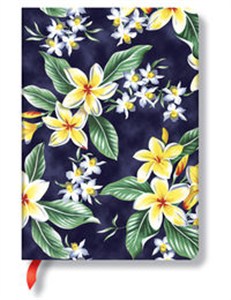 Obrazek Notatnik Midi Akahai w linie