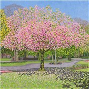 Karnet z k... -  books in polish 