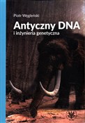 Polska książka : Antyczny D... - Piotr Węgleński
