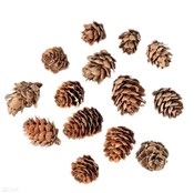 Mini szysz... -  books in polish 