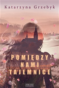 Obrazek Pomiędzy nami tajemnice