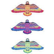 Latawiec f... -  foreign books in polish 