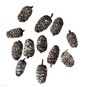 Picture of Mini szyszki bielone 12szt