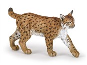 Ryś -  books from Poland