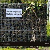 polish book : Licytacja ... - Michał Filipowski