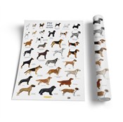 Polska książka : Plansza ed...