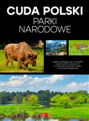 Książka : Cuda Polsk... - Iwona Baturo, Jolanta Bąk, Marcin Jaskulski