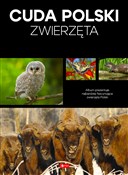 Cuda Polsk... - Łukasz Przybyłowicz - Ksiegarnia w UK