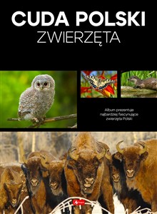 Obrazek Cuda Polski Zwierzęta