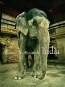 Andreas H.... - Andreas H. Bitesnich -  books in polish 