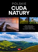 Książka : Polskie cu... - Michał Duława