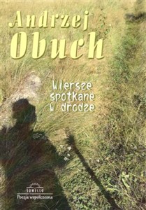 Obrazek Wiersze spotkane w drodze