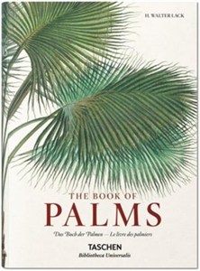 Obrazek Book of Palms