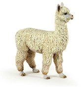 Alpaka -  books in polish 