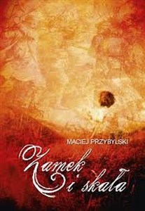 Picture of Zamek i skała