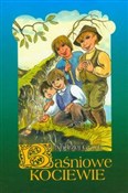 Baśniowe K... - Andrzej Grzyb -  books from Poland
